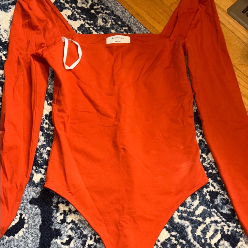 Aritzia Babaton Bodysuit